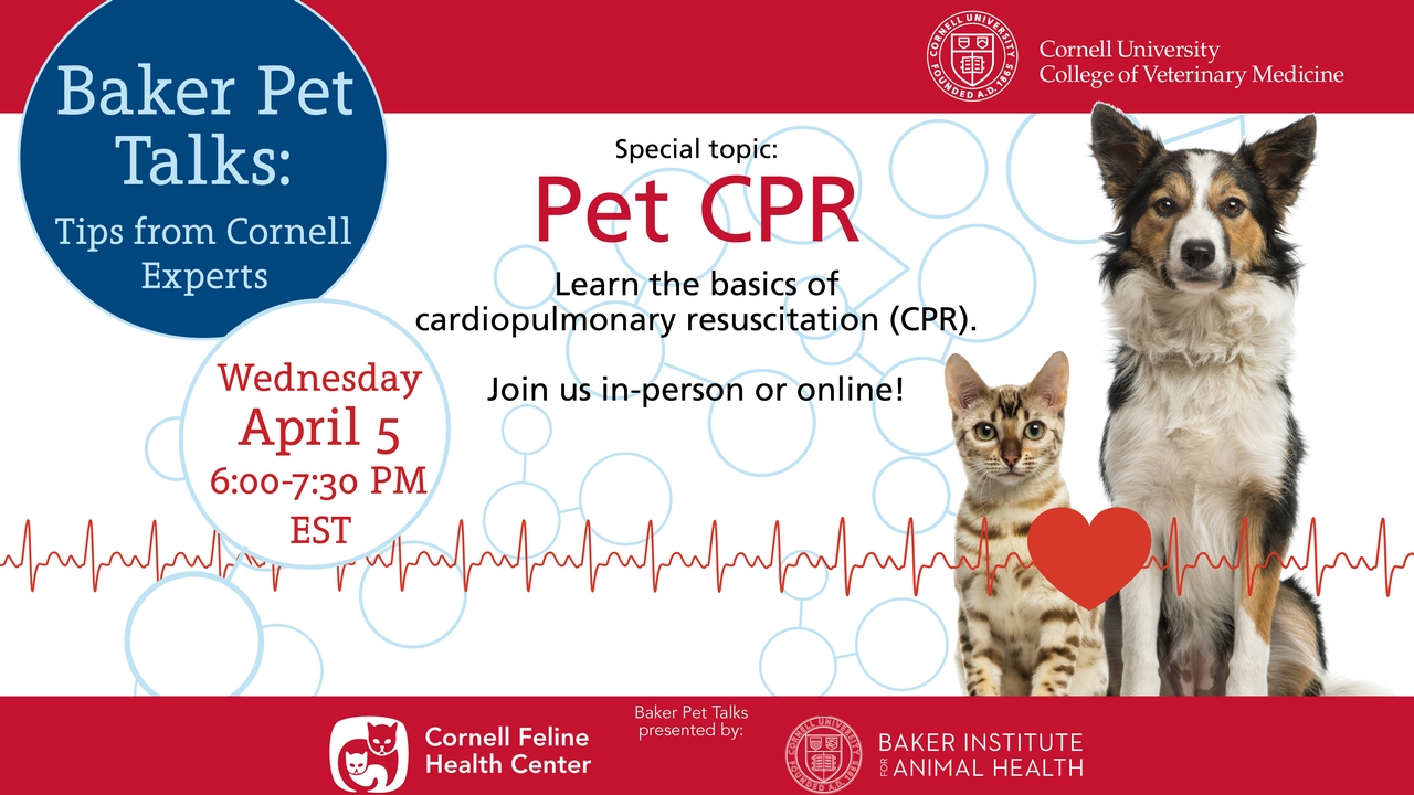 Baker Pet Talks webinar: Pet CPR - Cornell Video