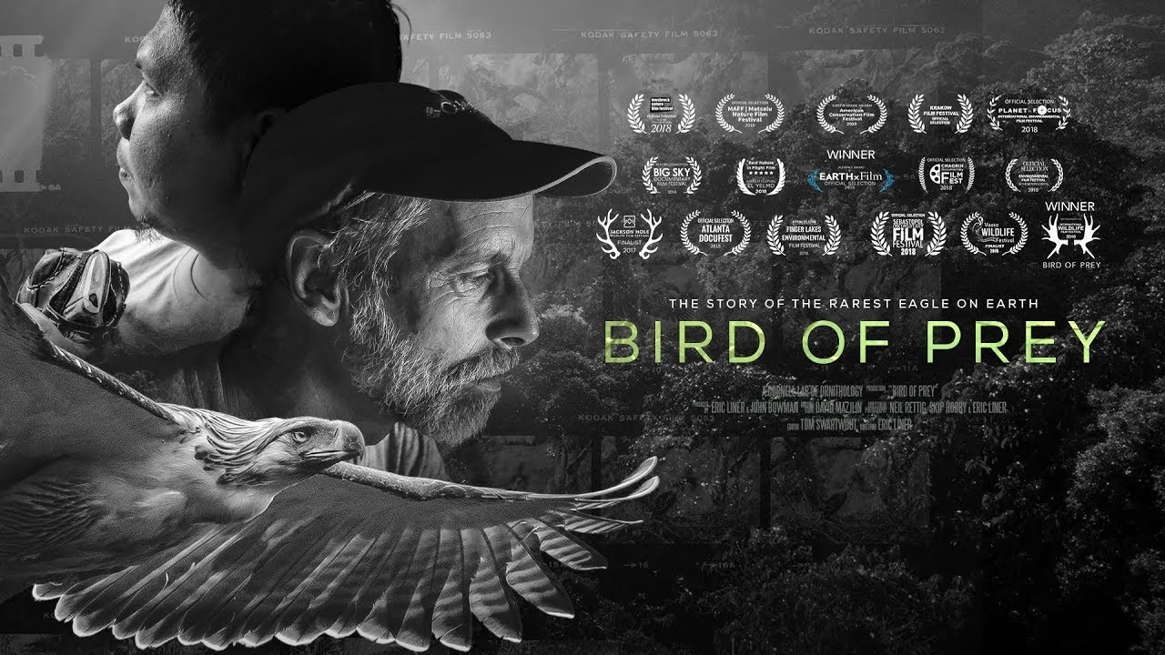 Birds of Prey: Furiously Flawed, But Important — Penn Moviegoer