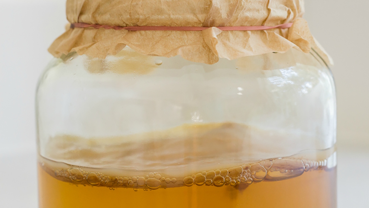 Kombucha SCOBY Candy (For Using Extra Mothers), Live Eat Learn, Recipe