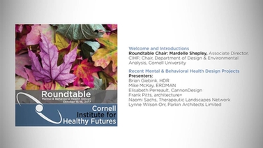 Mental & Behavioral Health Design Roundtable