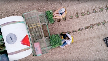 looking down on a tractor as a field is planted