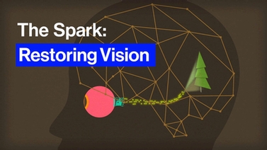 title screen reads, 'The Spark: Restoring Vision'