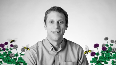 Scott McArt surrounded by illustrations of pollinators