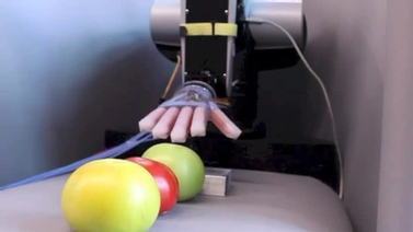 robotic hand with three different tomatoes