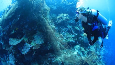 researcher swims past a coral reef littered with trash