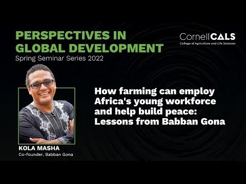 How farming can employ Africa's young workforce and help build peace: Lessons from Babban Gona