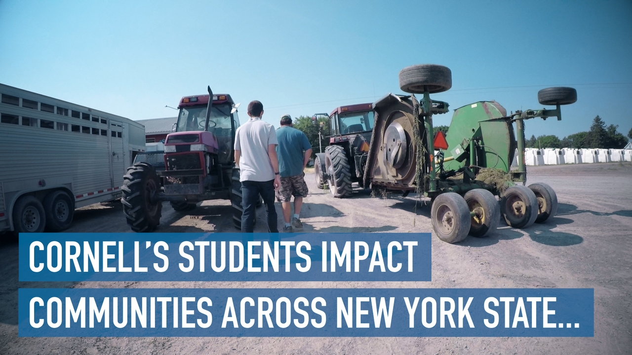 CCE summer internships impact NYS Cornell Video