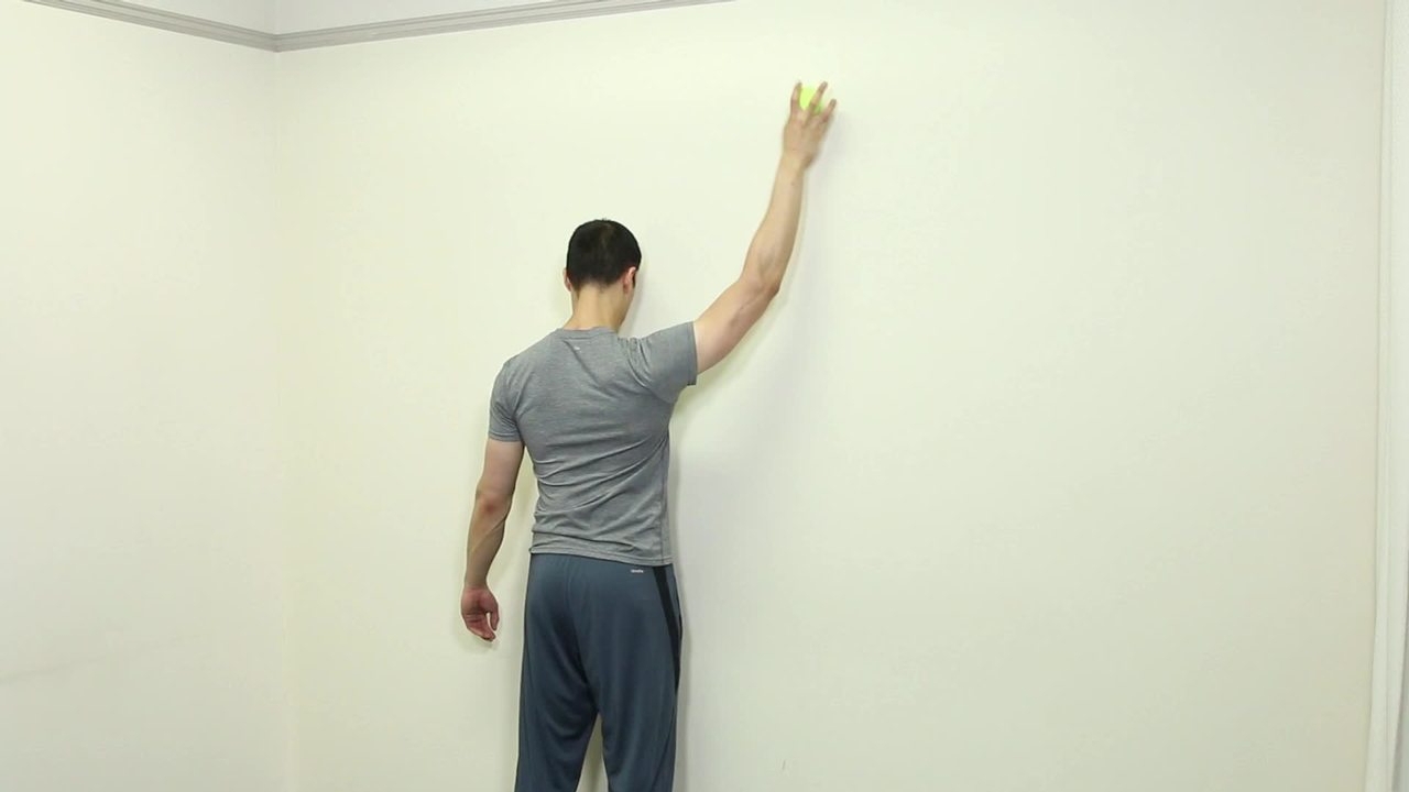 Wall Perturbations with Ball - CornellCast