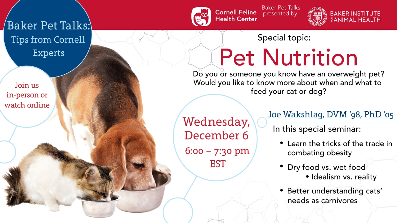 Baker Pet Talks webinar: Pet Nutrition - CornellCast