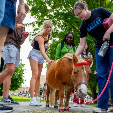 Students petting Minnie the minature horse. 