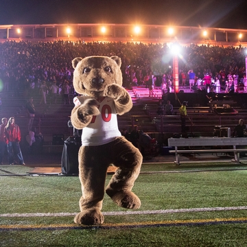 Touchdown, Cornell's Mascot, dances on the Schoellkopf Field.