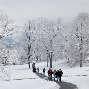 A group of people walking up Libe Slope with snow-covered trees and snowy backdrop in the distance.