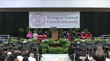 The stage at the biological sciences ceremony.