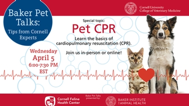 Pet CPR