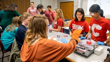 young women participate in lab activities