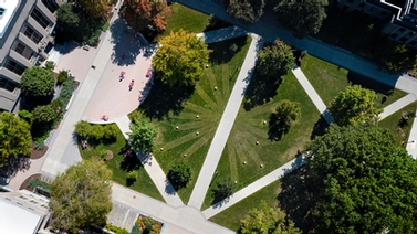 aerial photo of a mown pattern on the Arts Quad