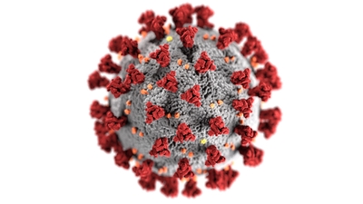 illustration, created at the Centers for Disease Control and Prevention (CDC), reveals ultrastructural morphology exhibited by coronaviruses