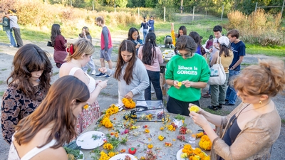 Cornell students doing a harvesting activity together. 