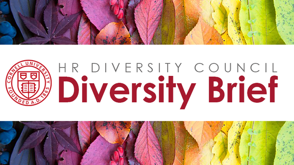 Banner: HR Diversity Council Diversity Brief