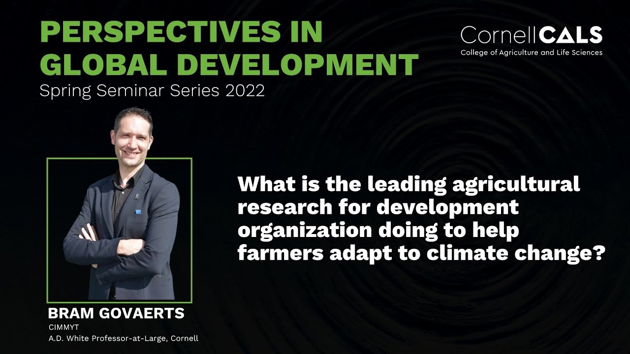 Bram Govaerts: What is CIMMYT doing to help farmers adapt to climate change?